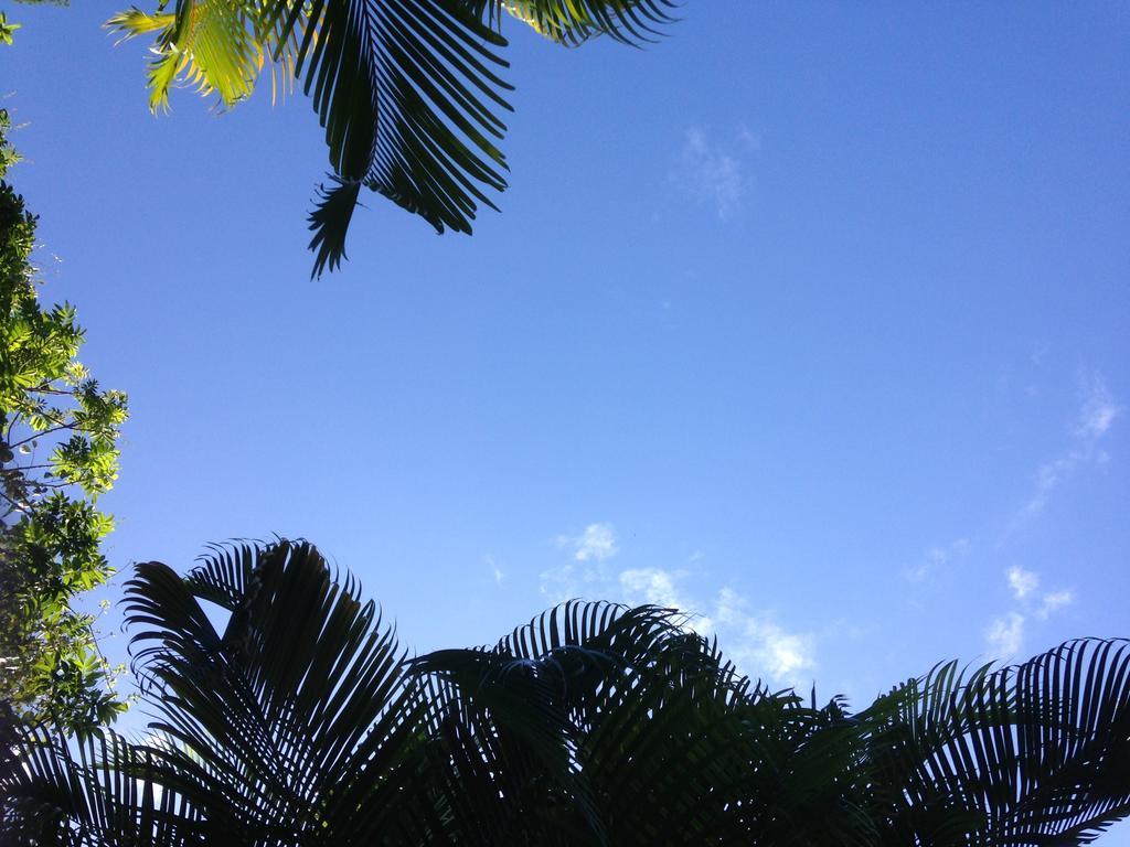 Ryan'S Rest Boutique Accommodation Cairns Esterno foto